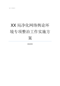 XX局净化网络舆论环境专项整治工作实施方案XX不X成语