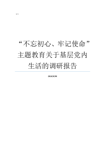 不忘初心牢记使命主题教育关于基层党内生活的调研报告牢记初心不忘使命发言材料不忘初心牢记使命自查