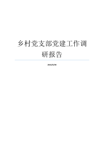 乡村党支部党建工作调研报告基层党支部抓党建工作调研报告