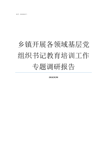 乡镇开展各领域基层党组织书记教育培训工作专题调研报告党的基层组织有哪三个