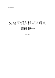 党建引领乡村振兴蹲点调研报告以党建为引领乡村振兴