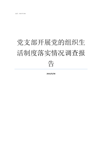 党支部开展党的组织生活制度落实情况调查报告党支部明确为党的基本组织