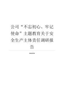 公司不忘初心牢记使命主题教育关于安全生产主体责任调研报告不忘初心主题调研报告