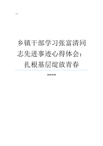 乡镇干部学习张富清同志先进事迹心得体会扎根基层绽放青春