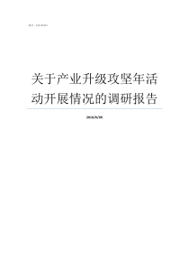 关于产业升级攻坚年活动开展情况的调研报告什么是产业升级