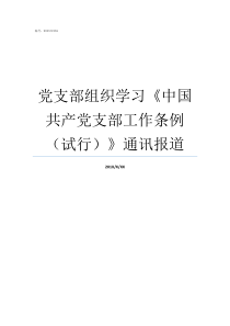 党支部组织学习中国共产党支部工作条例试行通讯报道