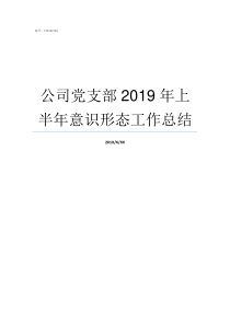 公司党支部2019年上半年意识形态工作总结2019年电梯公司排名