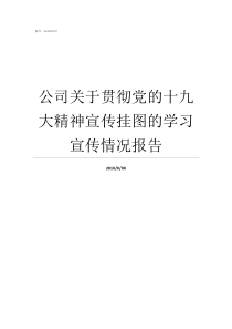 公司关于贯彻党的十九大精神宣传挂图的学习宣传情况报告