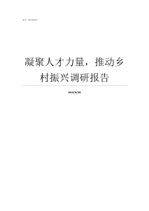 凝聚人才力量推动乡村振兴调研报告凝聚产生力量