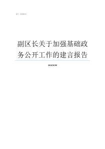 副区长关于加强基础政务公开工作的建言报告思政学基础