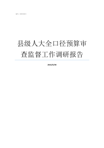 县级人大全口径预算审查监督工作调研报告