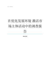 在优化发展环境nbsp激活市场主体活动中的调查报告优化发展环境整改