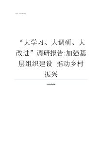 大学习大调研大改进调研报告加强基层组织建设nbspnbsp推动乡村振兴