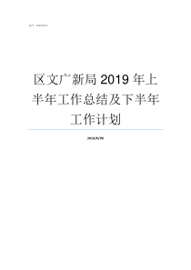 区文广新局2019年上半年工作总结及下半年工作计划2019文广新局怎么改革