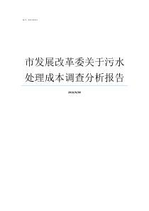 市发展改革委关于污水处理成本调查分析报告