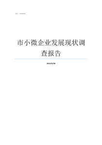 市小微企业发展现状调查报告