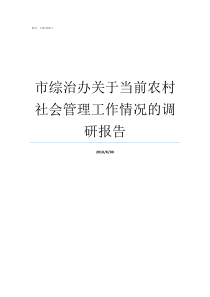 市综治办关于当前农村社会管理工作情况的调研报告