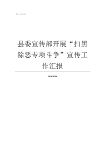 县委宣传部开展扫黑除恶专项斗争宣传工作汇报充分表明开展扫黑除恶的极端