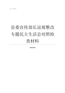 县委宣传部长巡视整改专题民主生活会对照检查材料县委巡视整改征求意见表