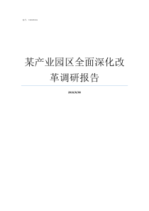 某产业园区全面深化改革调研报告全面深化改革全面提