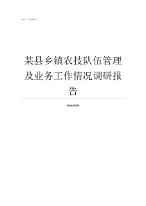 某县乡镇农技队伍管理及业务工作情况调研报告乡镇农技站