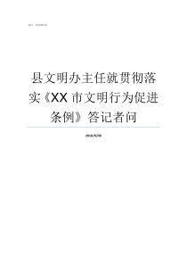 县文明办主任就贯彻落实XX市文明行为促进条例答记者问县文明办主任