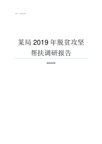 某局2019年脱贫攻坚帮扶调研报告2019脱贫攻坚