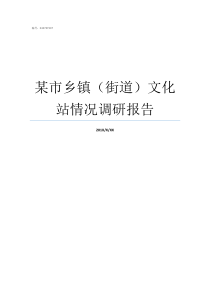 某市乡镇街道文化站情况调研报告街道属于乡镇吗