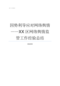 因势利导应对网络舆情XX区网络舆情监管工作经验总结