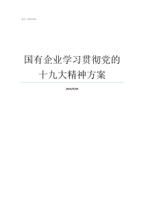 国有企业学习贯彻党的十九大精神方案