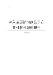 深入基层活动副县长在某村驻村调研报告