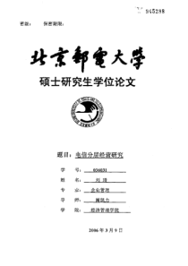 电信分层经营研究