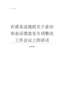 在落实巡视组关于意识形态反馈意见专项整改工作会议上的讲话