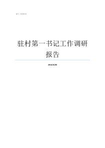 驻村第一书记工作调研报告驻村第一书记的职责