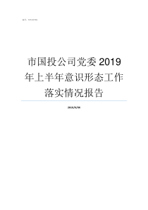 市国投公司党委2019年上半年意识形态工作落实情况报告市国投公司待遇