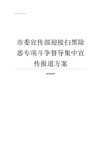 市委宣传部迎接扫黑除恶专项斗争督导集中宣传报道方案迎接扫黑除恶督导检查