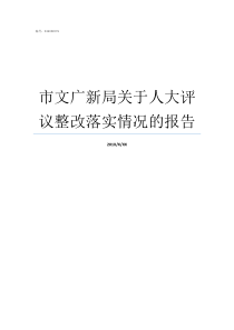 市文广新局关于人大评议整改落实情况的报告文体广新局