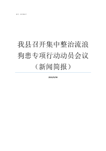 我县召开集中整治流浪狗患专项行动动员会议新闻简报县召开编委会