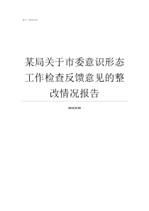 某局关于市委意识形态工作检查反馈意见的整改情况报告市委意识形态半年报告