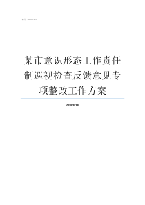 某市意识形态工作责任制巡视检査反馈意见专项整改工作方案