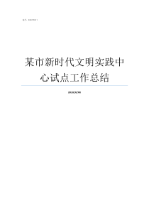 某市新时代文明实践中心试点工作总结新时代文明实践一