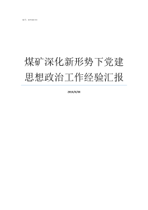 煤矿深化新形势下党建思想政治工作经验汇报