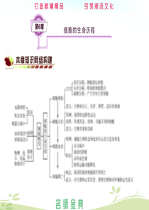 第6章细胞的生命历程