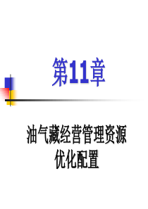 第11章油气藏经营管理资源配置