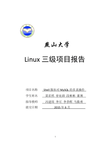 Linux三级项目报告