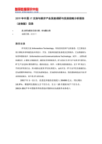 2019年中国IT支持与维护产业深度调研与投资战略分析报告(定制版)目录