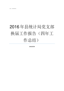 2016年县统计局党支部换届工作报告四年工作总结