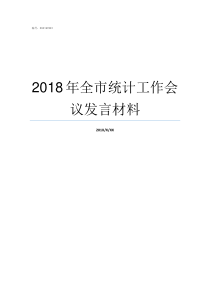 2018年全市统计工作会议发言材料