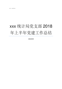 xxx统计局党支部2018年上半年党建工作总结统计局