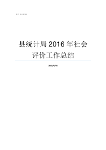 县统计局2016年社会评价工作总结